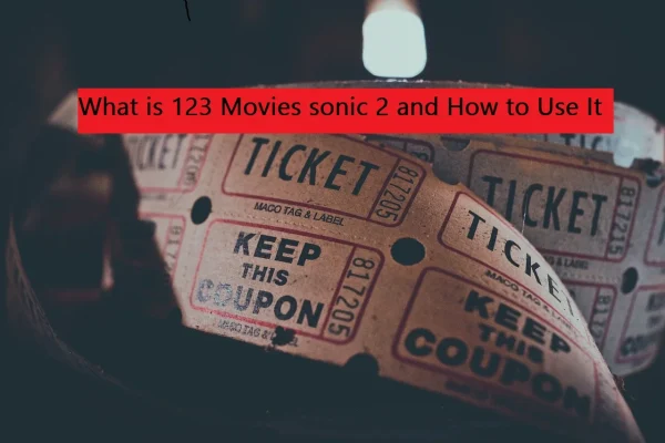 What is 123 Movies sonic 2