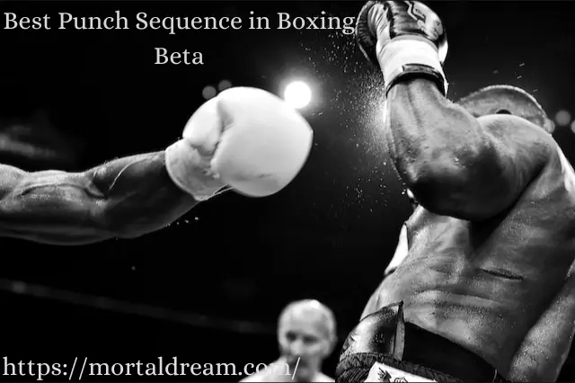 Mastering the Best Punch Sequence in Boxing Beta